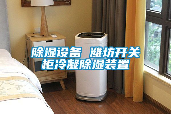 除濕設備 濰坊開關櫃冷凝除濕裝置