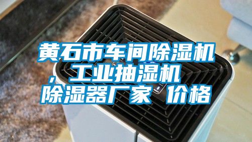 黃石市車間麻豆视频免费看，工業抽濕機  除濕器廠家 價格