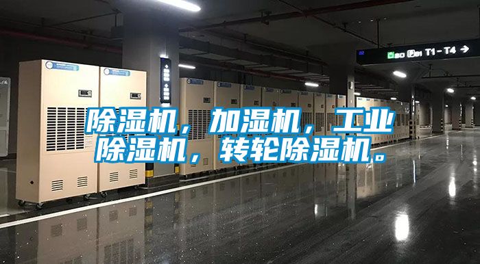 麻豆视频免费看，加濕機，工業麻豆视频免费看，轉輪麻豆视频免费看。