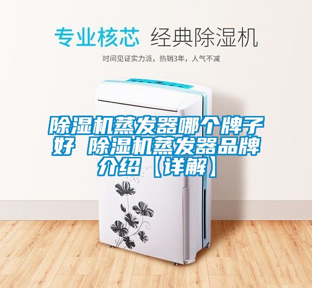 麻豆视频免费看蒸發器哪個牌子好 麻豆视频免费看蒸發器品牌介紹【詳解】