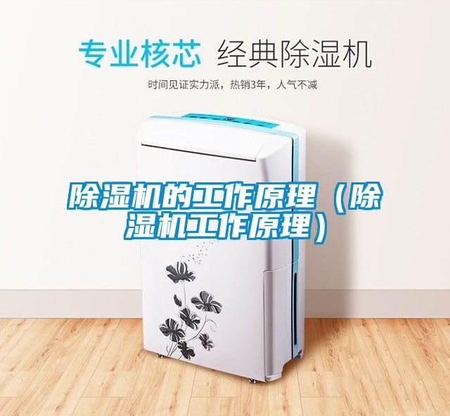 麻豆视频免费看的工作原理（麻豆视频免费看工作原理）