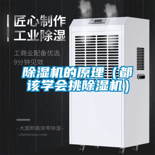 麻豆视频免费看的原理（都該學會挑麻豆视频免费看）