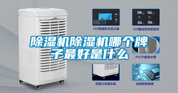 麻豆视频免费看麻豆视频免费看哪個牌子最好是什麽