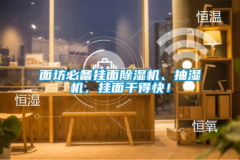 麵坊必備掛麵麻豆视频免费看、抽濕機，掛麵幹得快！