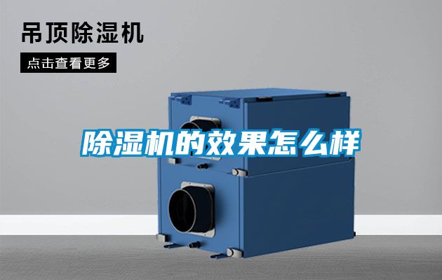 麻豆视频免费看的效果怎麽樣