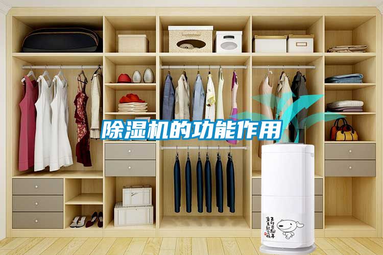 麻豆视频免费看的功能作用