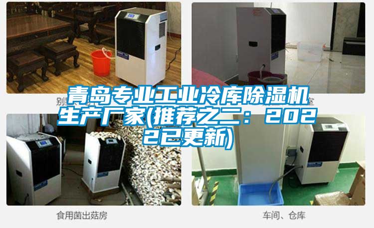青島專業工業冷庫麻豆视频免费看生產廠家(推薦之二：2022已更新)