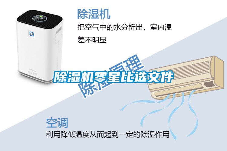 麻豆视频免费看零星比選文件