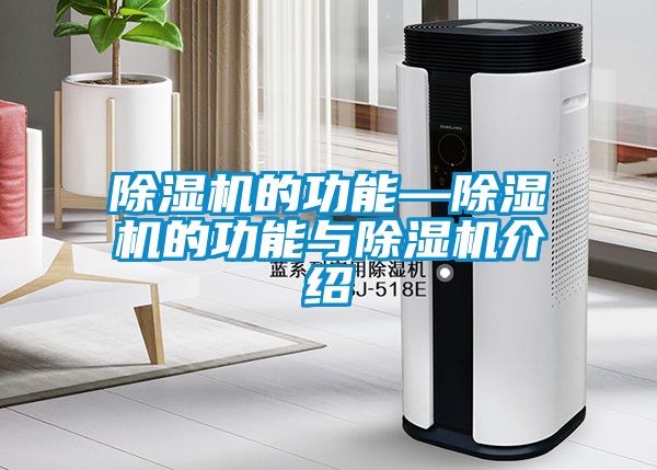 麻豆视频免费看的功能—麻豆视频免费看的功能與麻豆视频免费看介紹