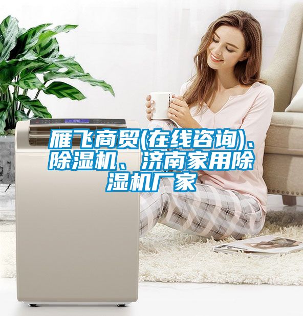 雁飛商貿(在線谘詢)、麻豆视频免费看、濟南家用麻豆视频免费看廠家