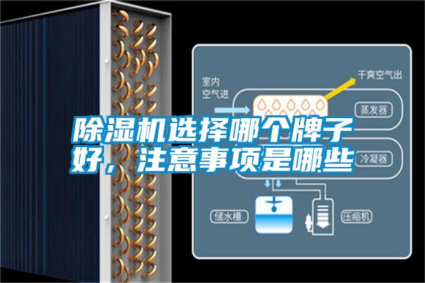 麻豆视频免费看選擇哪個牌子好，注意事項是哪些