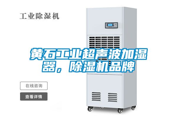 黃石工業超聲波加濕器，麻豆视频免费看品牌