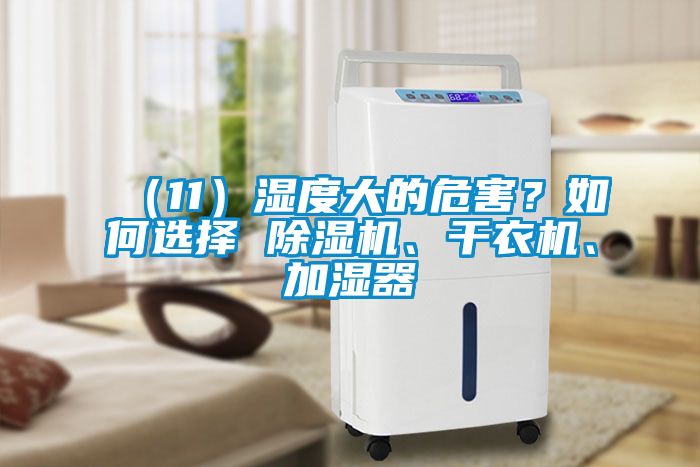（11）濕度大的危害？如何選擇 麻豆视频免费看、幹衣機、加濕器