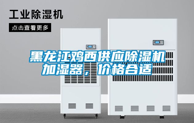 黑龍江雞西供應麻豆视频免费看加濕器，價格合適